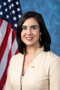 Portrait of Nicole Malliotakis
