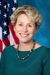 Portrait of Chrissy Houlahan